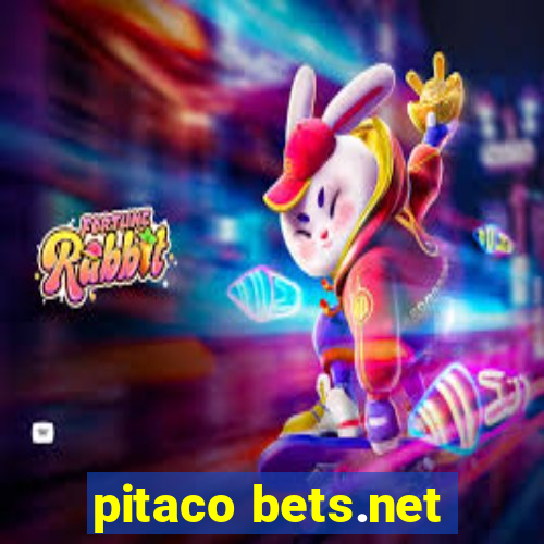 pitaco bets.net